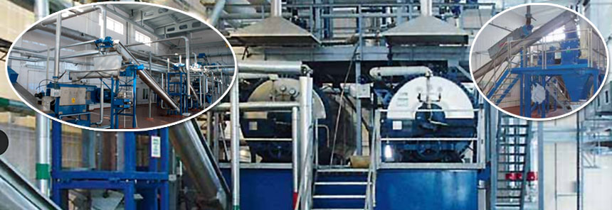 chicken by-product processing
